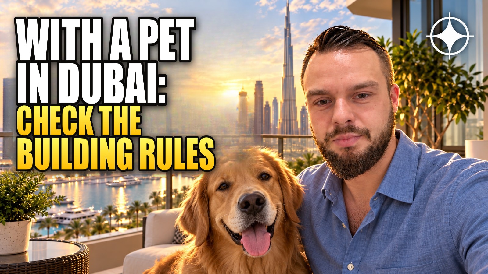 A pet in a Dubai apartment: the building decides, not the city