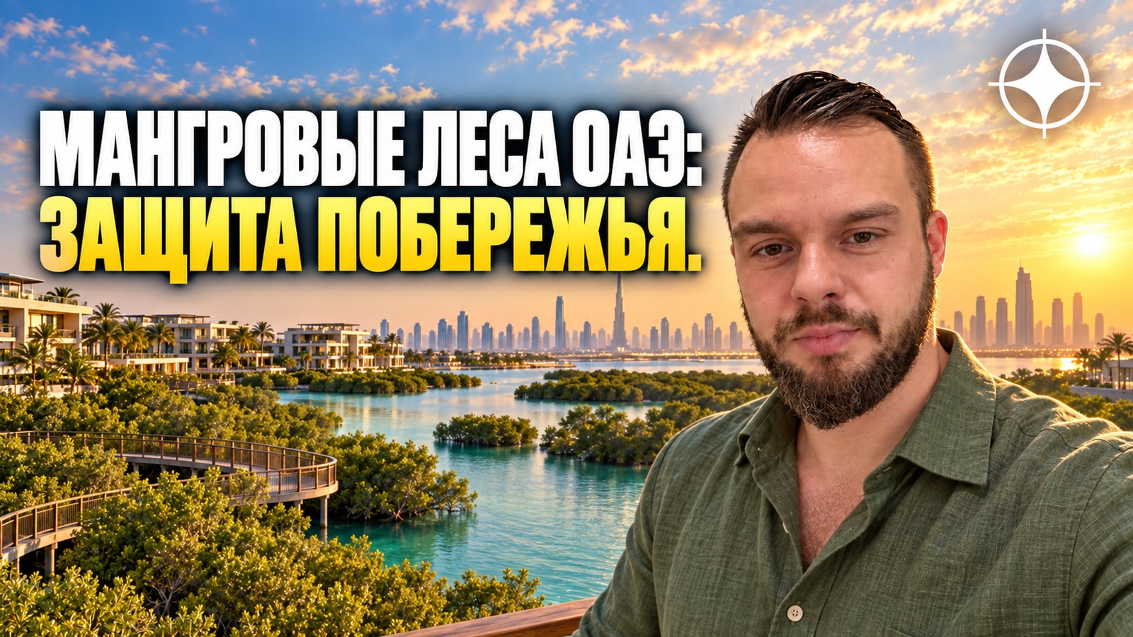 Мангровые леса ОАЭ: половина пути к 100 млн деревьев пройдена
