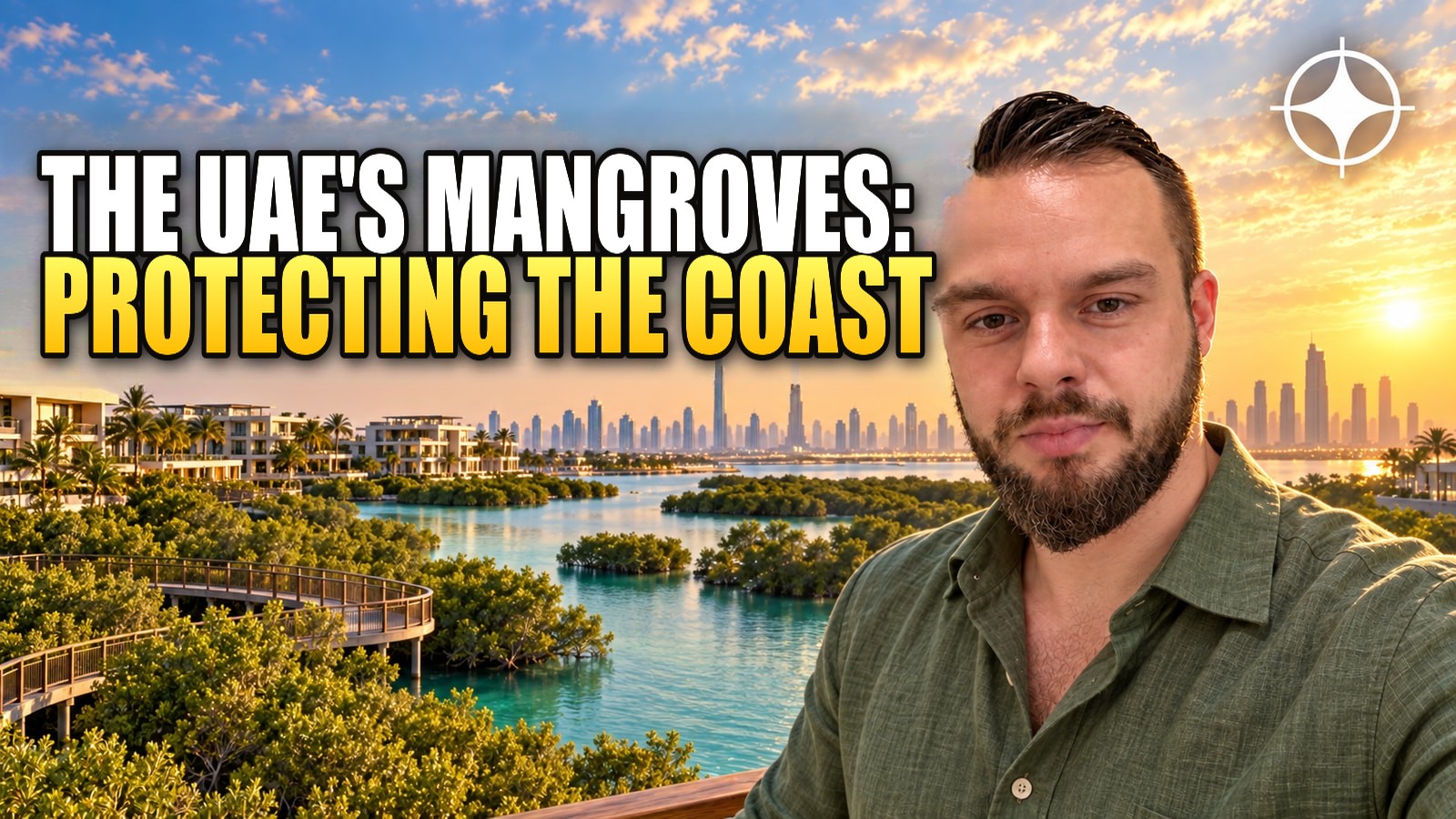 UAE Mangroves: Halfway to 100 Million Trees