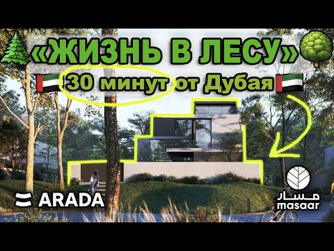 Arada MASAAR в Шардже: жизнь в лесу в 30 минутах от Дубая